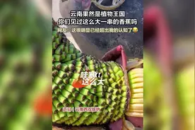 这么大一串的香蕉 你见过吗?图片