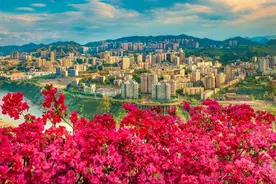 攀枝花市文广旅局局长刘亚玲：动车开通后，让攀枝花成为旅行首选“下一站”图片