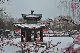 我们的大观园图片