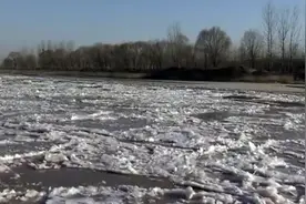 东营：黄河上遍开“冰莲花” 壮观又唯美图片