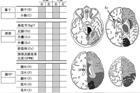 中国脑小血管病诊治指南2020图片