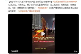 男子自制“火凤凰”风筝翱翔天空 栩栩如生 创意满分图片