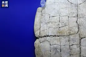 认出一个字奖励10万元！河南安阳将分批推出未释读甲骨单字图片