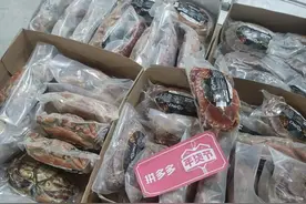 跨越8800公里，爱尔兰面包蟹爬上中国人的餐桌图片