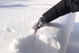 不是东北！山东这俩城市为啥要“雪中刨车”？图片
