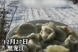 男子雪地大喊一声“开饭”，两只白狐闻声赶来图片