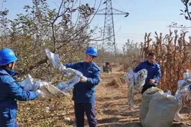 烟台：实施“三膜一袋”专项整治 向“银色污染”亮剑图片