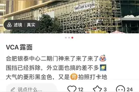 郑州和合肥新店即将开业，高级珠宝品牌梵克雅宝也在下沉图片