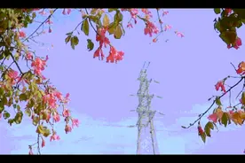 深圳24小时 | 目标已定，方向已明！深圳迈向未来的努力就刻写在这些分秒里图片