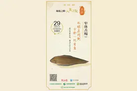 秘境之眼·人类之友 日历 | 窄体舌鳎（tǎ）：双眼在同侧，古称“比目鱼”图片