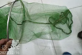 鱼护修复，结实耐用！胜比原装鱼护圈图片
