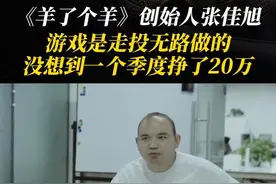 羊了个羊创始人没想到一季度挣了20万！称羊了个羊是走投无路时做的，该公司仅7人参保图片