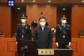 敛财过亿的“老虎”受审，涉及一项罕见犯罪行为图片