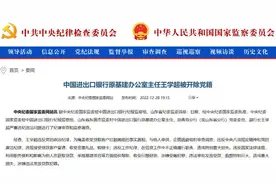 涉嫌违法发放贷款犯罪，退休近七年后，王学超被开除党籍图片