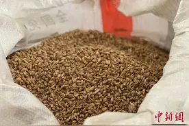 青海累计认证绿色食品、有机农产品和农产品地理标志产品1000余个图片