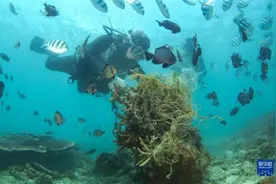 如何防治海洋垃圾污染？海洋环境保护法修订草案四大看点图片