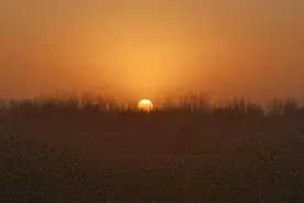 伴（小小说）图片