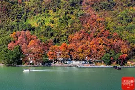 跟着镜头品诗词·冬景似春华图片