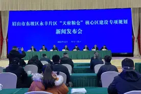 眉山发布永丰片区“天府粮仓”核心区建设专项规划图片