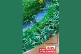 晨意帮忙｜西安一酒楼饭桌惊现野猫大便，负责人称没在盘里就行？回应：只是气话图片