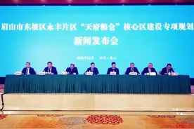 四川眉山发布永丰片区“天府粮仓”核心区规划图片