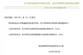 湖北美术统考分数线划定，本科线上考生超82%图片