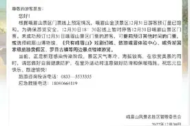 停售！峨眉山金顶景区12月31日门票预订量已饱和图片