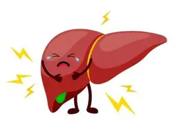 得了脂肪肝注意这几点 一起逆转脂肪肝图片