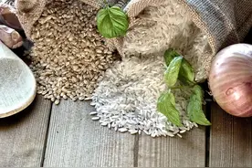 冬天必吃这个“神仙米”！煮着吃通便、泡水喝养气血、发芽吃对胃好图片