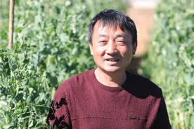 云南烟农这五年：种烟种出好日子图片