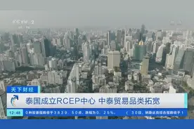 泰国成立RCEP中心！29000种产品实现零关税，前11个月中泰贸易额超6700亿元图片