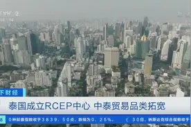 泰国成立RCEP中心！29000种产品实现零关税，前11个月中泰贸易额超6700亿元图片