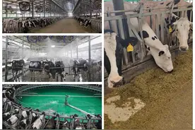 打响“品质、创新、温暖”牌，新一年这家百年乳企依旧“为你如一”图片