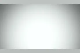 先就业后择业，我的职场生活这样过