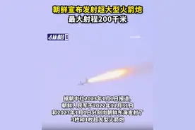 朝鲜宣布发射超大型火箭炮，最大射程200千米图片