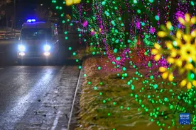 跨年夜救护车：在抢救生命的路上疾驰图片