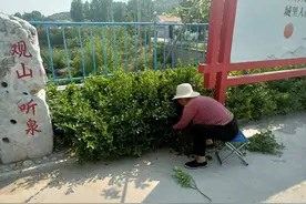 乡村教育者手记｜王焕涛：由热心“园丁”联想到教书育人图片