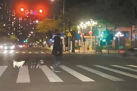 遛狗不拴狗绳，危险！图片