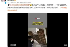 女子收拾房子发现巨型鸟窝 还有个风干的蛋图片