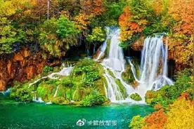 四川66个景点对全国现役、退役军人和其他优抚对象免门票！图片