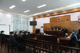 3人采挖国家重点保护植物“金毛狗蕨”被判刑，并向当地村寨张贴道歉书图片