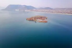 济南卧虎山水库变身水鸟天堂，寒冬美景如画图片
