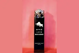 飞猫智联斩获金牛奖-“最佳行业营销奖”图片