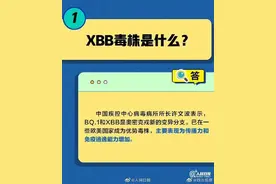 转需了解！关于XBB，你需要知道这些图片