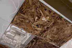 湖南女子收拾老家房子发现巨型鸟窝：收拾了两天，草装了5麻袋图片