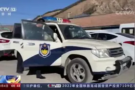 荒漠猫进村“偷鸡”被困，多方协力救助放归图片