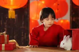 吴风越俗｜绿野兔奔图片