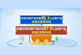 区域全面经济伙伴关系协定对印尼生效 中国与印尼相互实施RCEP协定税率图片