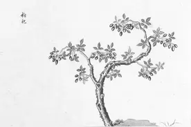 以杞为姓，安危在心得永年图片