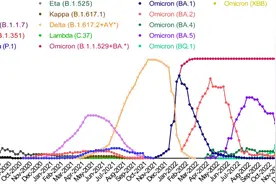 武大科学家发现病毒进化规律，设计新冠广谱疫苗对抗持续病毒突变图片